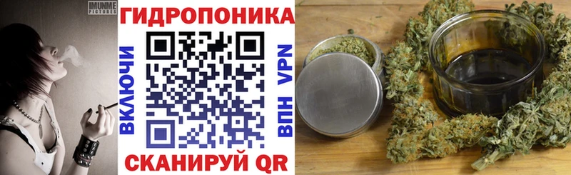 Купить где  Талдом  Каннабис семена 